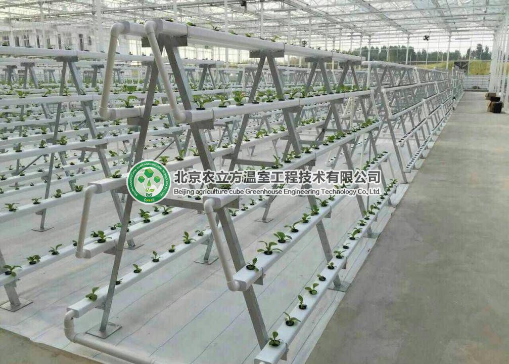 立體無土栽培設備，菜居然能種在空中！ 